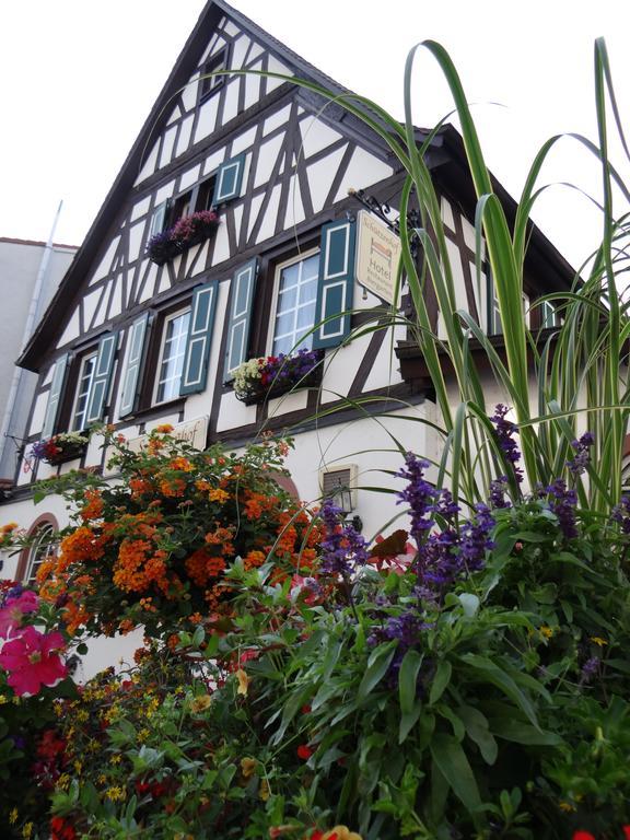 Hotel Schutzenhof Spa Garden Bürstadt Dış mekan fotoğraf
